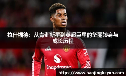 星空.综合体育官网