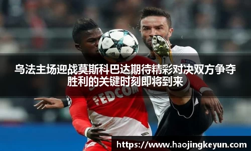 星空.综合体育(中国)官方网站