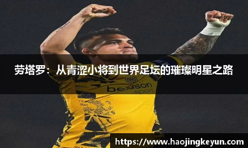 星空.综合体育(中国)官方网站