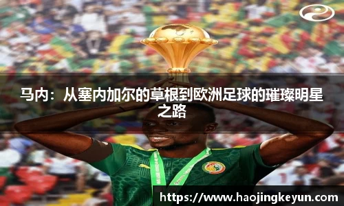 星空.综合体育官网