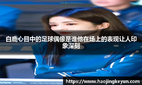 星空.综合体育官网