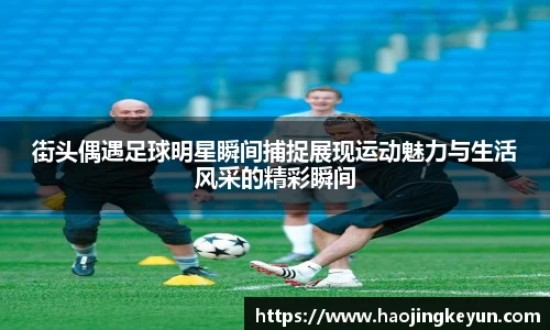 星空.综合体育官网