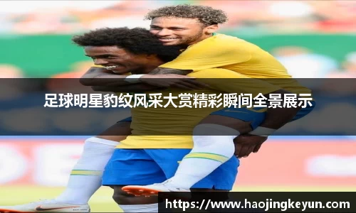 星空.综合体育官网