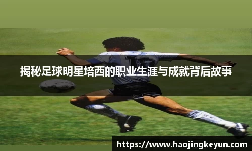 星空.综合体育官网