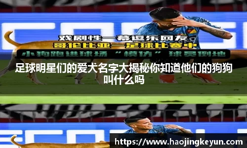 星空综合(中国)官方网站